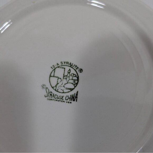 Syracuse China Syralite Spectrum Rainbow Stripe Salad Plate Vintage Dinnerware - Picture 4 of 6